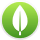 MongoDB  Logo