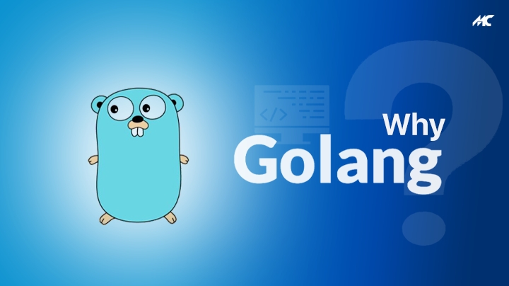 Why Golang? Some Amazing Points to Outline its Benefits - MobileCoderz