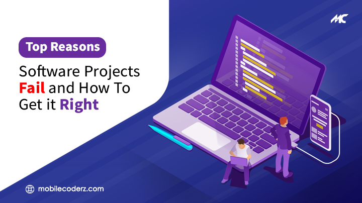 Top Reasons Software Projects Fail and How To Get It Right