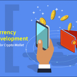 Cryptocurrency Wallet Development | Easy Guide for Crypto Wallet Creation