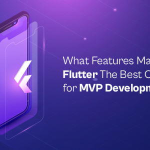What Features Make Flutter The Best Option for MVP Development