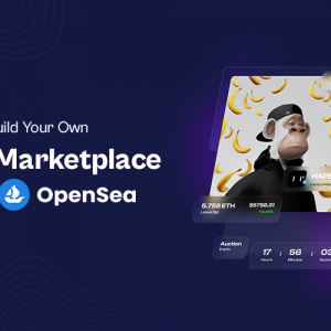 How to Build Your Own NFT Marketplace Like Opensea?