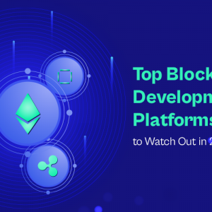 Top Blockchain Development Platforms to Watch Out ...